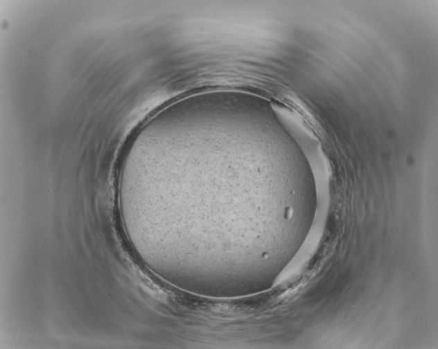 X0000087310787200705041648