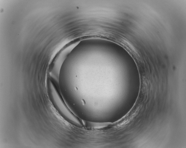 X0000087310788200705041648