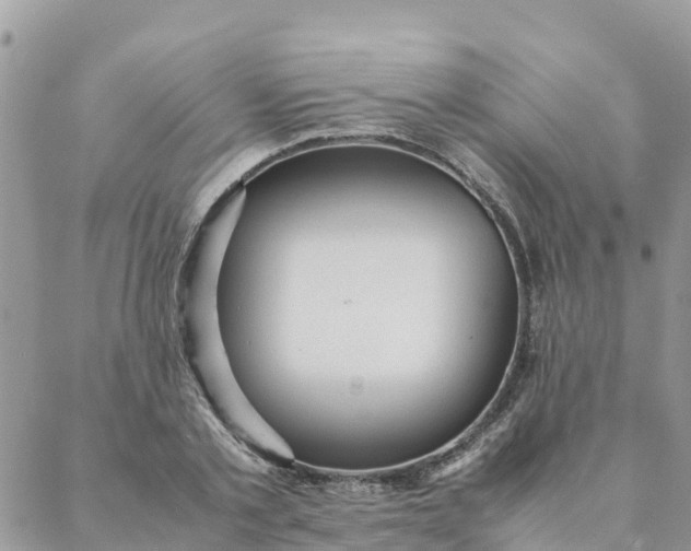 X0000087310789200705041648