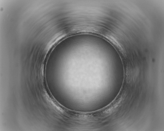 X0000087310790200705041648