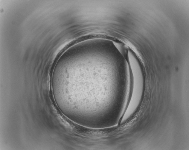 X0000087310791200705041648