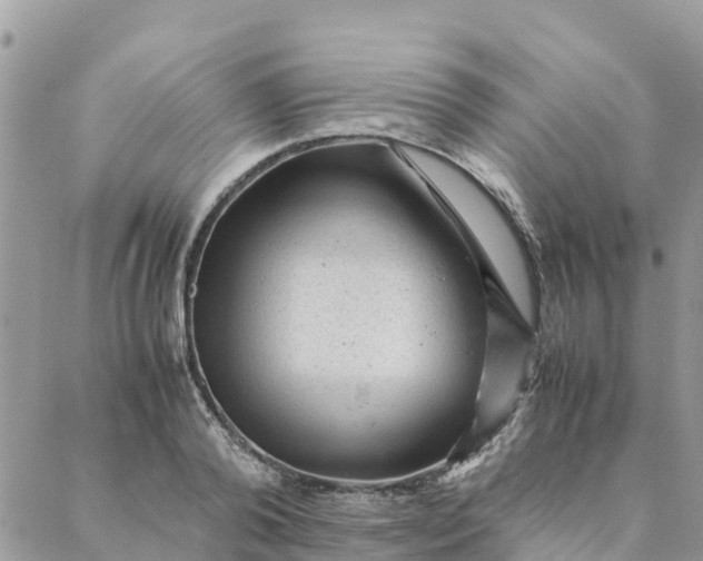 X0000087310792200705041648