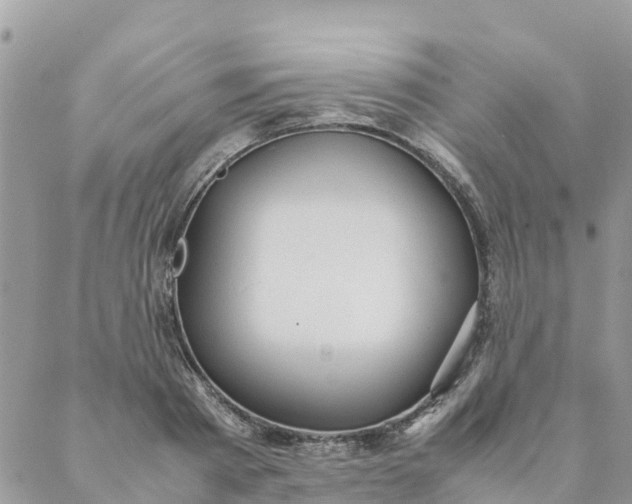 X0000087310793200705041648