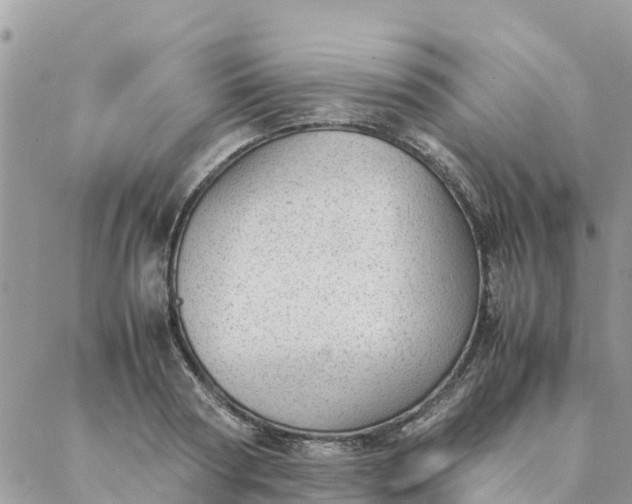 X0000087310794200705041648