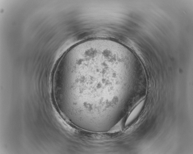 X0000087310795200705041648