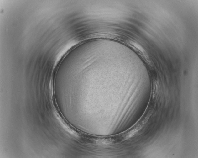 X0000087310796200705041648