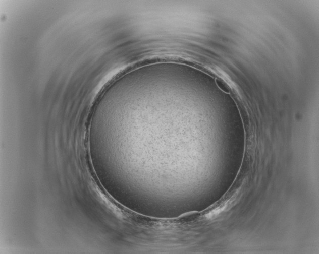 X0000087310799200705041648