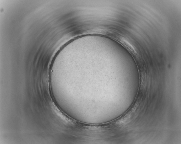 X0000087310800200705041648