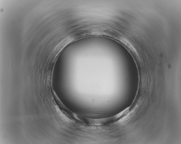 X0000087310801200705041648