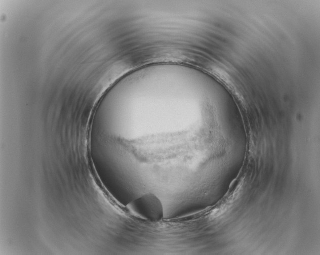 X0000087310802200705041648