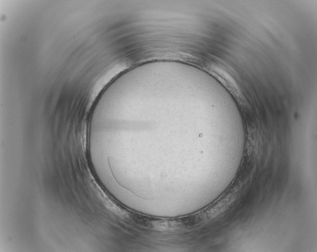 X0000087310804200705041648