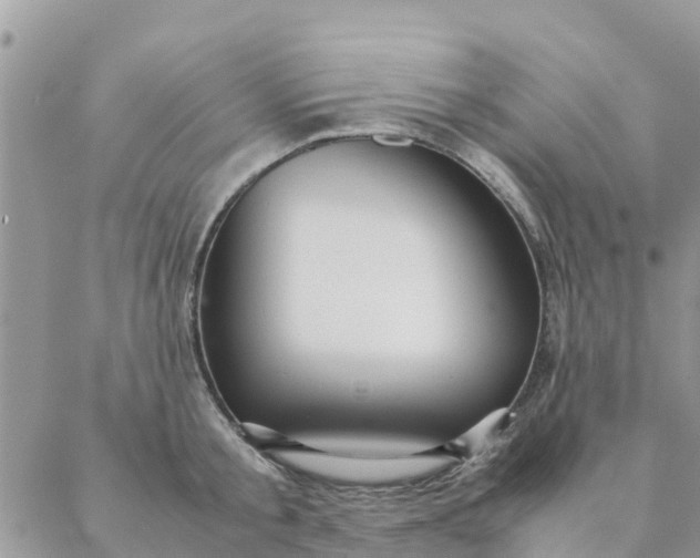 X0000087310805200705041648