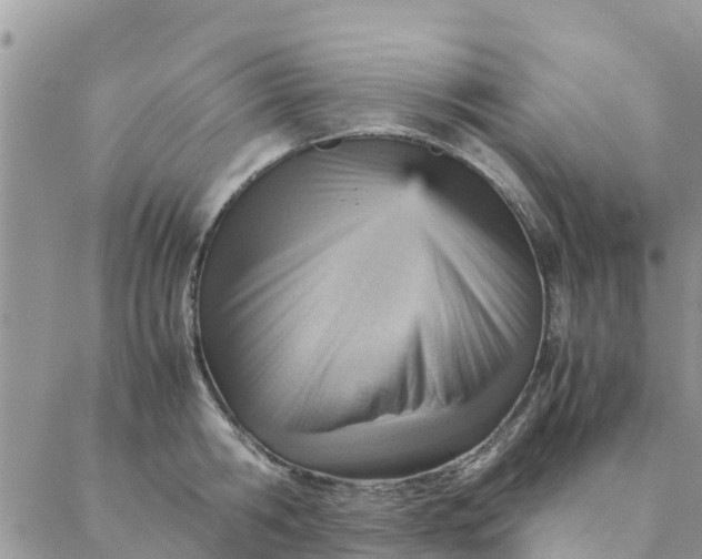 X0000087310806200705041648