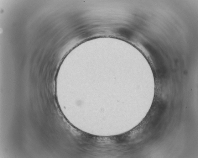 X0000087310807200705041648