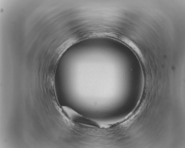 X0000087310809200705041648