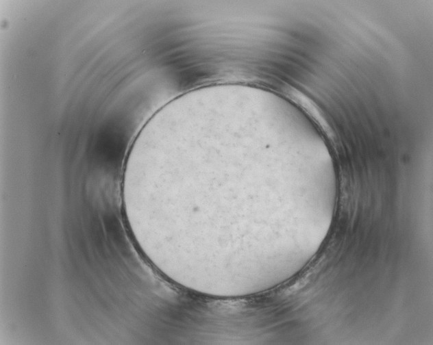 X0000087310810200705041648