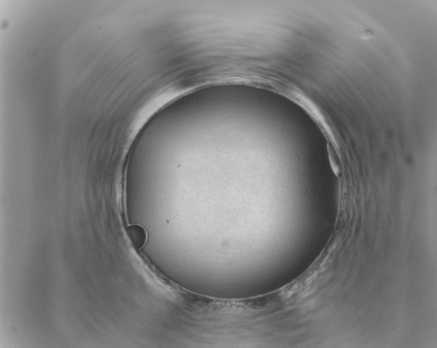 X0000087310811200705041648