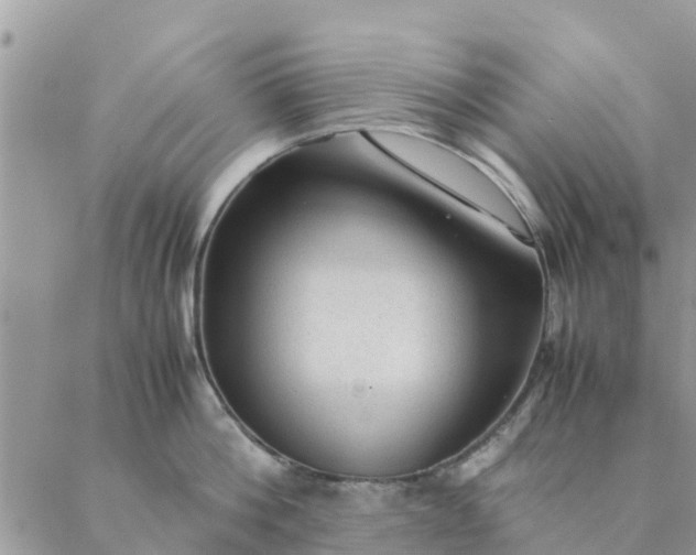 X0000087310812200705041648