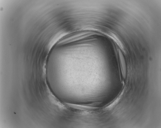 X0000087310814200705041648