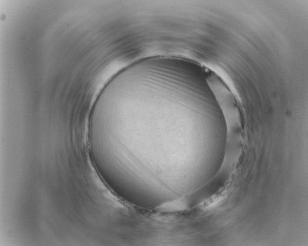 X0000087310815200705041648