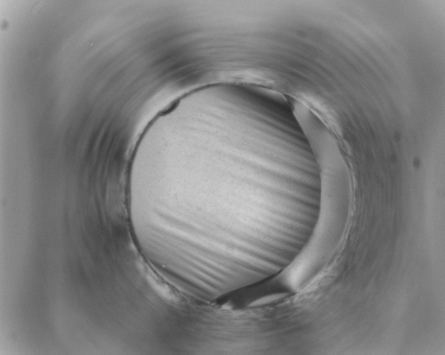 X0000087310816200705041648