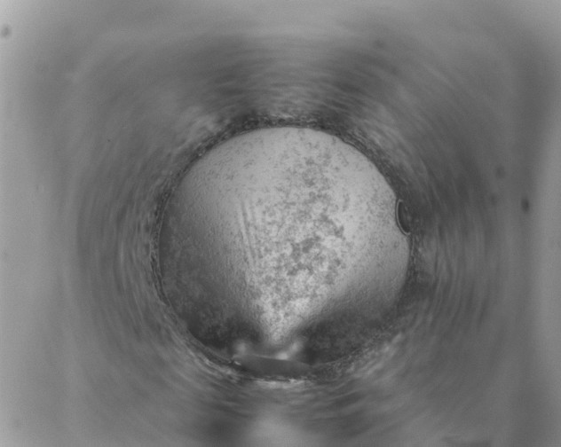 X0000087310817200705041647