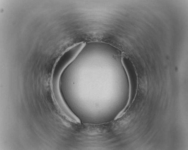 X0000087310818200705041647