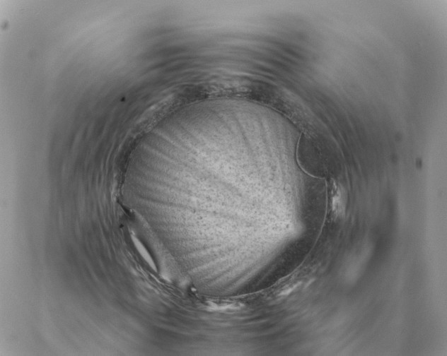 X0000087310819200705041647