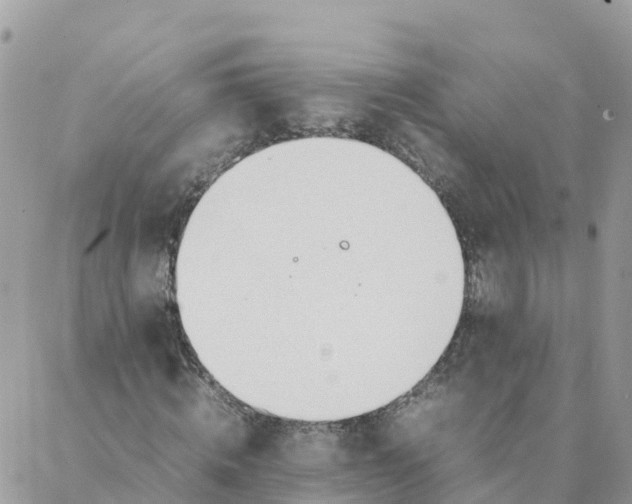 X0000087310820200705041647