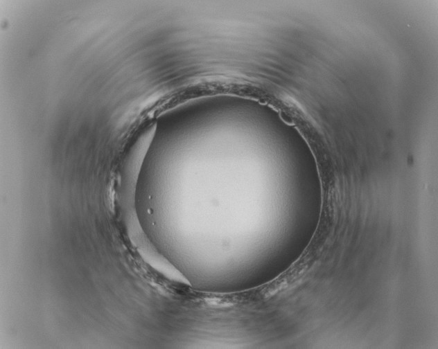 X0000087310822200705041647