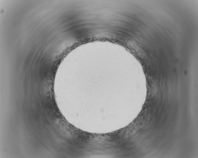 X0000087310824200705041647