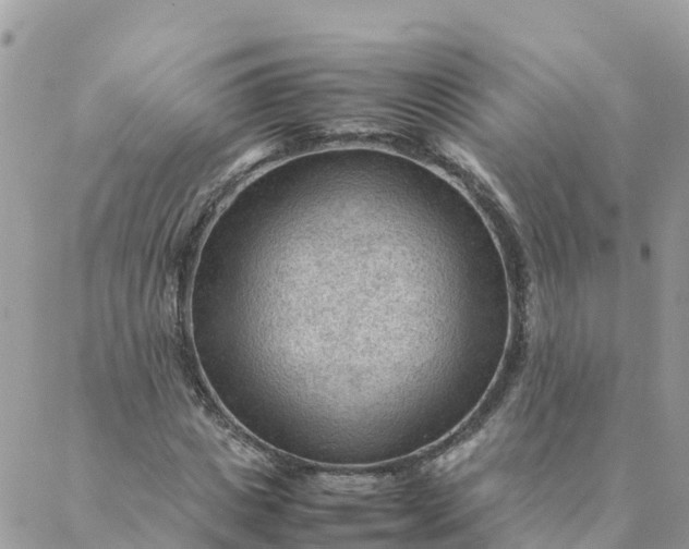 X0000087310825200705041647