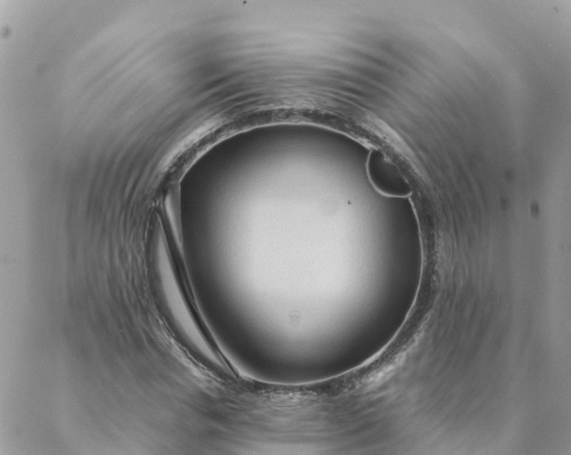 X0000087310826200705041647