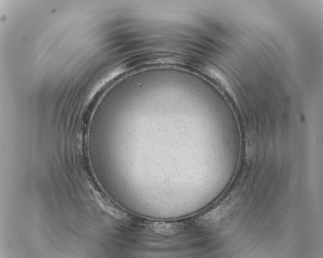 X0000087310827200705041647