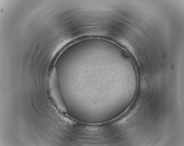 X0000087310829200705041647