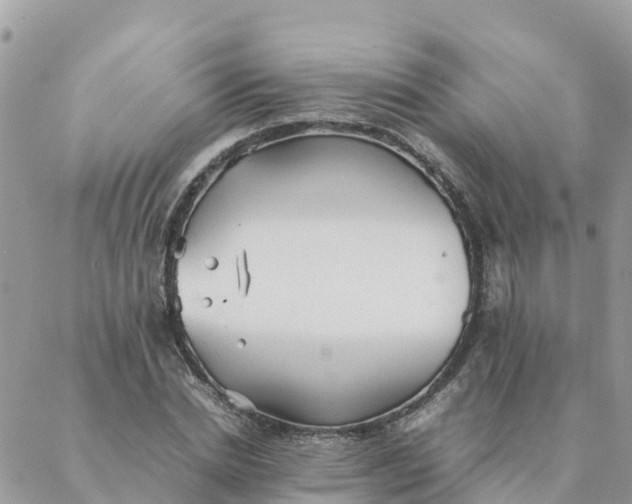 X0000087310830200705041647