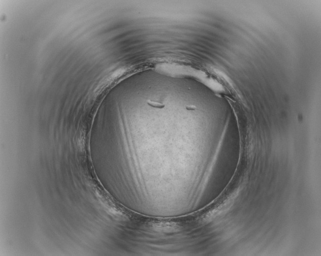 X0000087310833200705041647