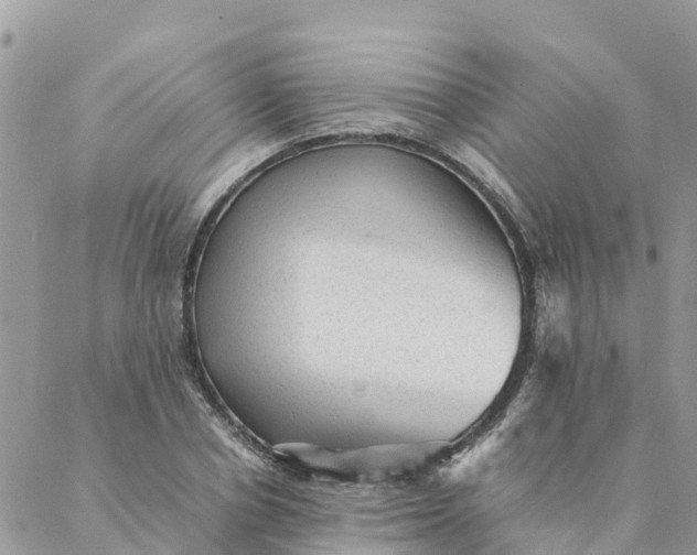 X0000087310834200705041647