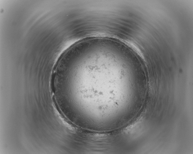 X0000087310839200705041647