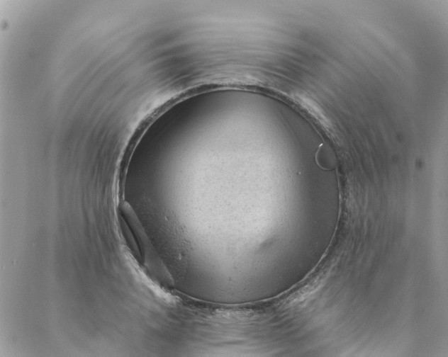 X0000087310840200705041647