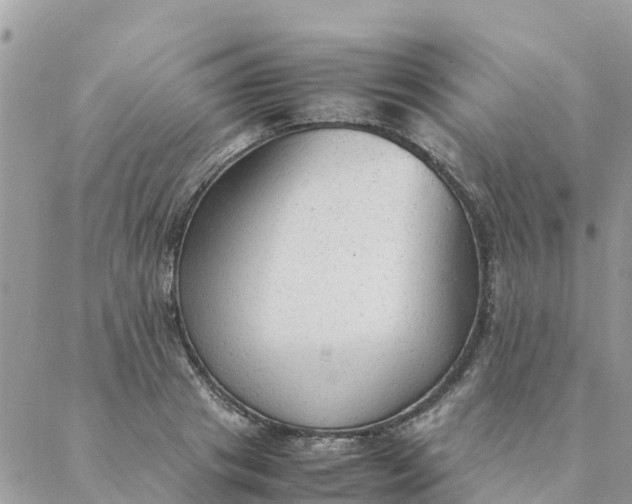 X0000087310841200705041647