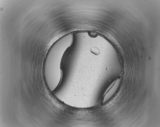 X0000087310842200705041647