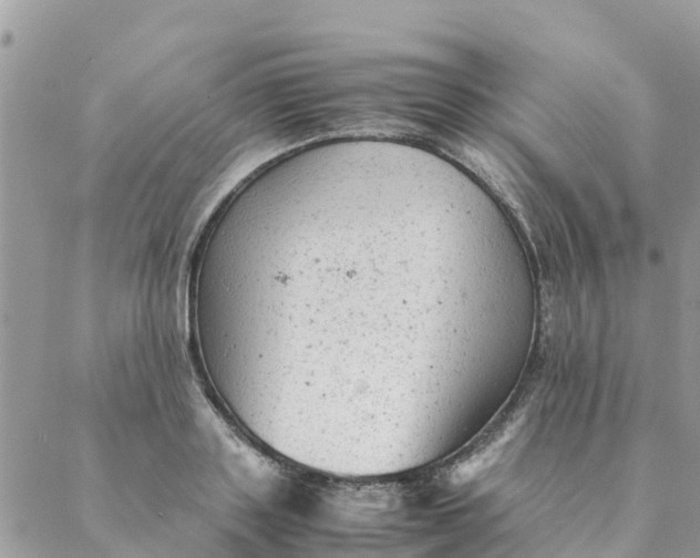 X0000087310843200705041647