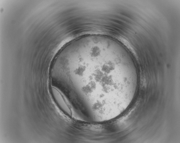 X0000087310845200705041647