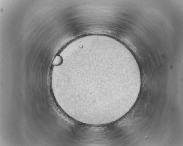 X0000087310848200705041647