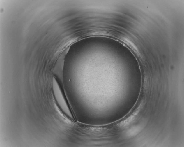 X0000087310849200705041647