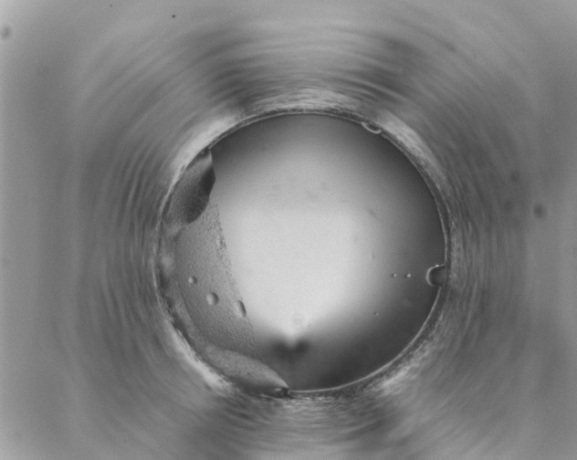 X0000087310850200705041647