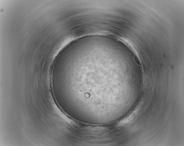 X0000087310851200705041647