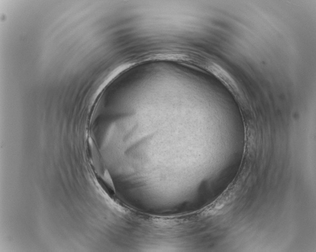 X0000087310852200705041647