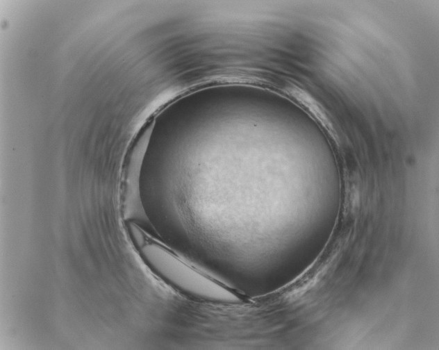 X0000087310853200705041647